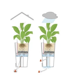 LECHUZA® CLASSICO Color, All-in-One-Set -Gardena Store 001 InOutdoorLechuza