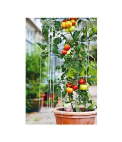 Bellissa Tomatenturm -Gardena Store 1227982 WE MO 001 Tomatenturm120CmHoch