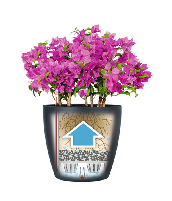 LECHUZA® CLASSICO Color, All-in-One-Set – Bild 5