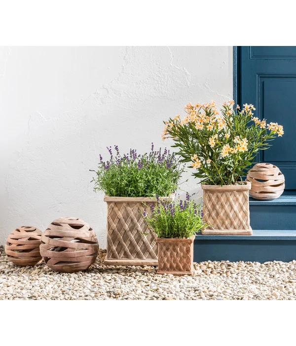 Lavendel 2 Lavendel – Bild 2