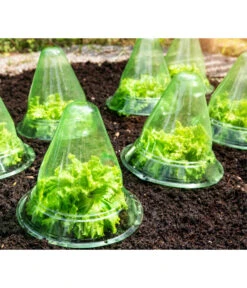 Windhager Pflanzenhut, Ø24 Cm, 10 Stk. 9 Windhager Pflanzenhut, Ø24 Cm, 10 Stk. -Gardena Store 2062289 WE MO 001 WindhagerPflanzenhut