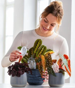 Dehner Keramik-Übertopf Mavie, Rund, Anthrazit -Gardena Store 220527 5356548 WE MO 001 ScheurichWasserspeicherBirdy