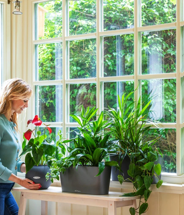 LECHUZA® Kasten DELTA, All-in-One-Set – Bild 3