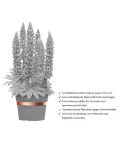 Dehner Bio Schneckenband Kupfer, 5 M -Gardena Store 2536555 WE IG 001 DehnerBioSchneckenbandKupfer5m