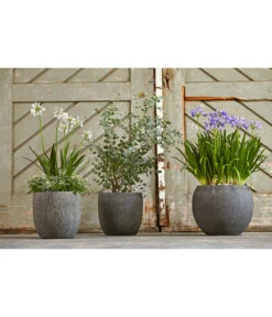 Dehner Polystone-Topf Kapstadt, Rund, Grau -Gardena Store 3207990 3208022 WE MO 002 DehnerPolystoneTopfbauchiggrau