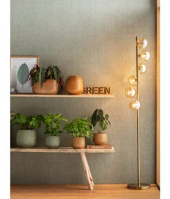 Korbmarante - Calathea Mosaica -Gardena Store 4073847 PR MO 001 JardiniereTopfVaseSafirGelbGruen 4077731 4069274 4072542 4092896