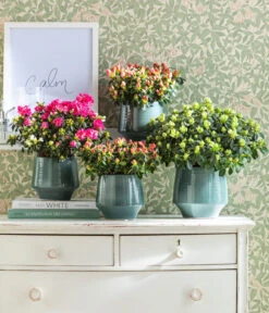 Dehner Keramik-Übertopf Elsa, Bauchig, Türkis -Gardena Store 4100160 WE MO 001 TopfElsaPetrolIndoorAzaleen