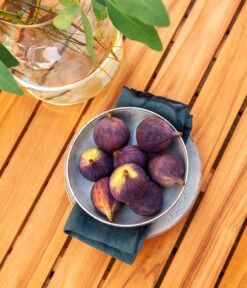 Dehner Aluminium-Lounge Malibu, 2-teilig 17 Dehner Aluminium-Lounge Malibu, 2-teilig -Gardena Store 4209870 WE DE 006 LoungeMalibuNEU