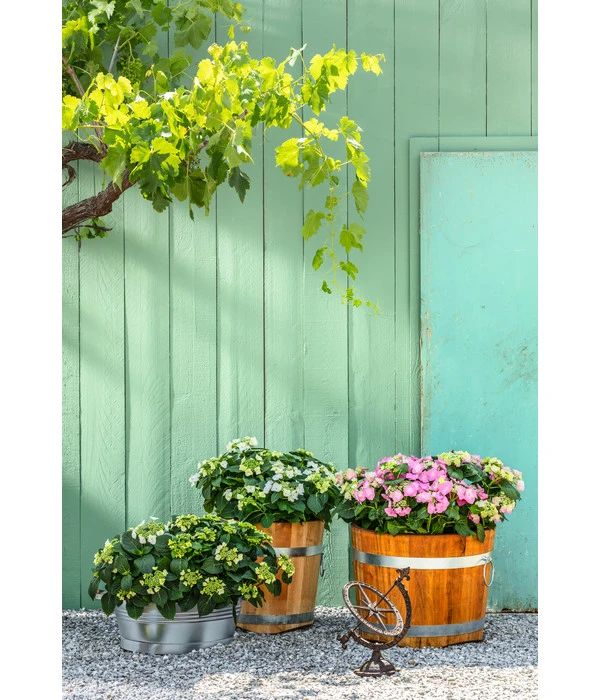 Dehner Gusseisen-Deko-Sonnenuhr, Ca. B33/H34/T24 Cm, Dunkelbraun 2 Dehner Gusseisen-Deko-Sonnenuhr, Ca. B33/H34/T24 Cm, Dunkelbraun – Bild 2