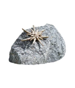 Rottenecker Bronze-Edelweiß Auf Schwarzwaldgranit, Ca. B15/H10/T15 Cm