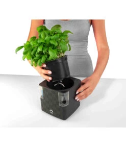 Dehner Kunststoff-Topf Mona, Eckig, Ca. B14/H14/T14 Cm -Gardena Store 4320743 PR FS 002 KunststoffTopfMonaGrau