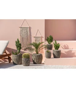 Feigenkaktus - Opuntia Consolea -Gardena Store 4432415 PR MO 001 KeramikTopfNero