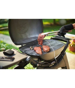 Weber Thermometer Connect Smart Grilling Hub -Gardena Store 4469391 WE MO 013 CONNECT SMART GRILL