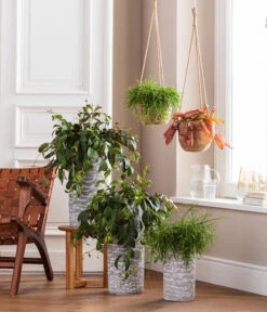 Dehner Seegras-Ampel Igmar -Gardena Store 4484705 WE MO 001 AmpelvaseToni 4484713 6759393