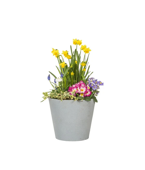 Scheurich Kunststoff-Topf C-Cone, Rund 2 Scheurich Kunststoff-Topf C-Cone, Rund – Bild 2