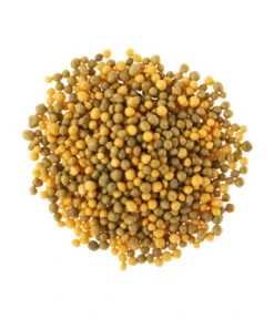 Substral® Osmocote® Buchs & Hecken Dünger, 1,5 Kg -Gardena Store 5170147 BildD 001 SubstralOsmocoteDuengerBuchsUndHeckenBuchsHeckenduengerOsmoc