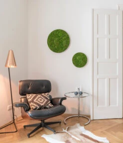 StyleGREEN Bild Aus Kugelmoos, Ellipsoid, Ca. Ø54 Cm 7 StyleGREEN Bild Aus Kugelmoos, Ellipsoid, Ca. Ø54 Cm -Gardena Store 6429963 WE MO 001 KugelmoosEllipsoid54cmStylegreen