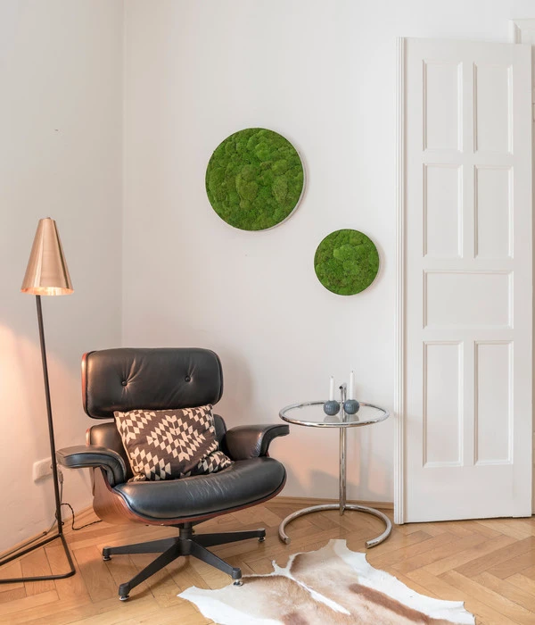 StyleGREEN Bild Aus Kugelmoos, Ellipsoid, Ca. Ø54 Cm 4 StyleGREEN Bild Aus Kugelmoos, Ellipsoid, Ca. Ø54 Cm – Bild 4