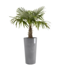 Ecopots Kunststoff-Topf Amsterdam, Rund -Gardena Store 6614358 WE FS 003 EcopotsKunststoffTopfAmsterdamhalbhochrund