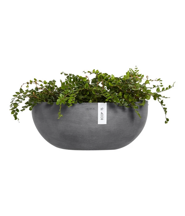 Ecopots Kunststoff-Schale Sofia Wall Mit Wassersystem, Oval, Grau, Ca. B43/H17,5/T25 Cm 3 Ecopots Kunststoff-Schale Sofia Wall Mit Wassersystem, Oval, Grau, Ca. B43/H17,5/T25 Cm – Bild 3
