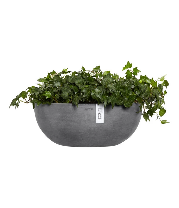 Ecopots Kunststoff-Schale Sofia Wall Mit Wassersystem, Oval, Grau, Ca. B43/H17,5/T25 Cm 4 Ecopots Kunststoff-Schale Sofia Wall Mit Wassersystem, Oval, Grau, Ca. B43/H17,5/T25 Cm – Bild 4