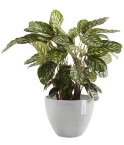 Ecopots Kunststoff-Topf Antwerp, Rund -Gardena Store 6614747 WE FS 002 EcopotsKunststoffTopfAntwerprund