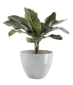Ecopots Kunststoff-Topf Antwerp, Rund -Gardena Store 6614747 WE FS 003 EcopotsKunststoffTopfAntwerprund
