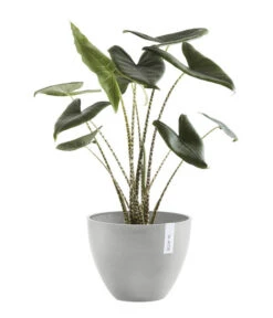 Ecopots Kunststoff-Topf Antwerp, Rund -Gardena Store 6614747 WE FS 004 EcopotsKunststoffTopfAntwerprund