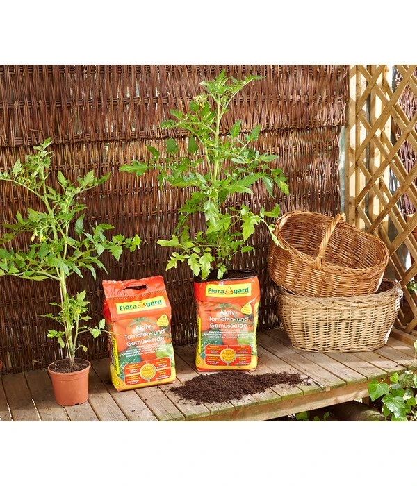 Floragard Aktiv Tomaten- Und Gemüseerde 2 Floragard Aktiv Tomaten- Und Gemüseerde – Bild 2