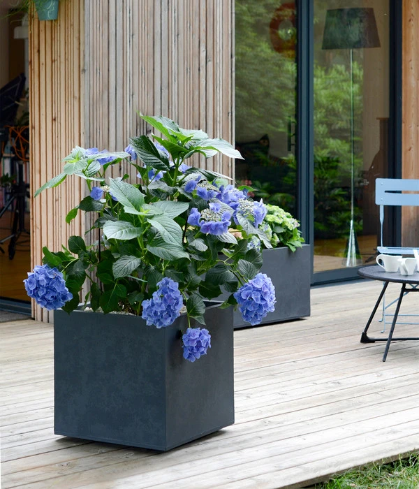 EDA-plastiques Kunststoff-Topf Basalt, Quadratisch, Anthrazit, Ca. B49,5/H49,5/T49,5 Cm 2 EDA-plastiques Kunststoff-Topf Basalt, Quadratisch, Anthrazit, Ca. B49,5/H49,5/T49,5 Cm – Bild 2