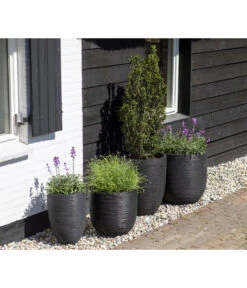 Capi Europe Kunststoff-Topf Rib Hoch, Rund -Gardena Store 6697304 WE MO 002 CapiEuropeKunststoffTopfRibrund