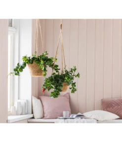 Dehner Seegras-Ampel Igmar -Gardena Store 6759393 WE MO 005 AmpelIgmarBraun