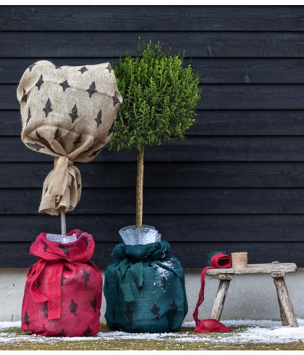 Dehner Pflanzen-Isolierfolie 5 Dehner Pflanzen-Isolierfolie – Bild 5