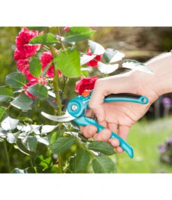 GARDENA Bypass Gartenschere B/S-M 8 GARDENA Bypass Gartenschere B/S-M -Gardena Store 6916308 WE MO 003 GardenaGartenschereBS M