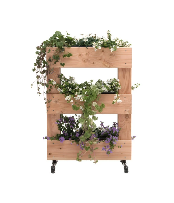 Rettenmeier Pflanzmodul Holz-Skygarden 2 Rettenmeier Pflanzmodul Holz-Skygarden – Bild 2