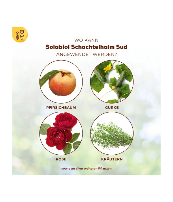 Solabiol® Schachtelhalm Sud, 1 L 4 Solabiol® Schachtelhalm Sud, 1 L – Bild 4