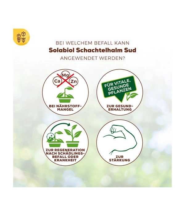 Solabiol® Schachtelhalm Sud, 1 L 5 Solabiol® Schachtelhalm Sud, 1 L – Bild 5