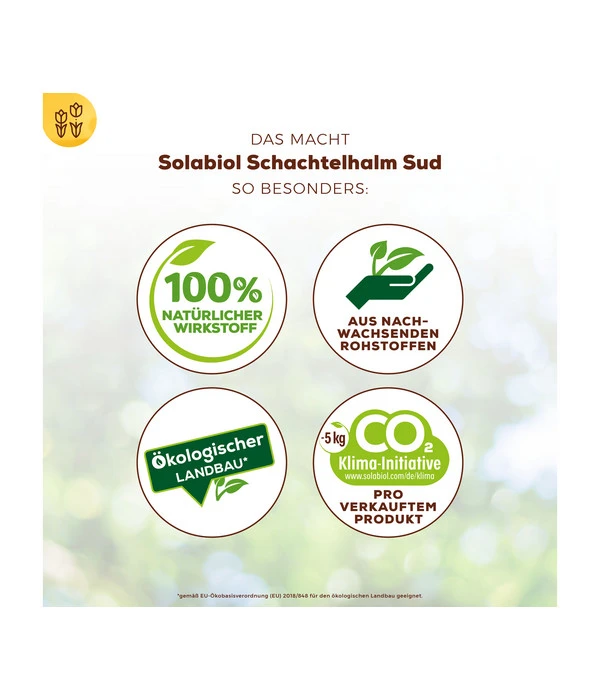 Solabiol® Schachtelhalm Sud, 1 L 6 Solabiol® Schachtelhalm Sud, 1 L – Bild 6