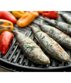 CADAC Gasgrill Grillo Chef 40 -Gardena Store 6961742 6961759 WE MO 001 Cadac GasgrillGrilloChef40