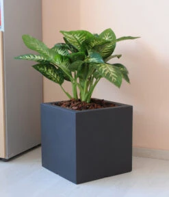 Farmet New Doppelwandiger Kunststoff-Kübel Atlantis, Quadratisch, Dunkelgrau, Inkl. Untersetzer -Gardena Store 6965065 WE MO 001 FarmetNewdoppelwandigerKunststoffKuebelAtlantisrechteckig