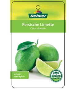 Limette 'Lima Verde' -Gardena Store 7119001 PersischeLimette Etikett 1