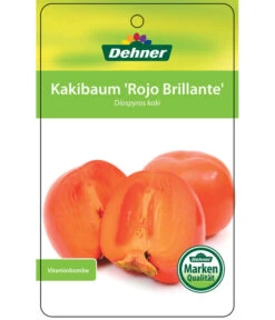 Dehner Kaki 'Rojo Brillante' - Kaki-Pflaume 'Rojo Brillante' -Gardena Store 7167414 KakiRojoBrillante Etikett 01