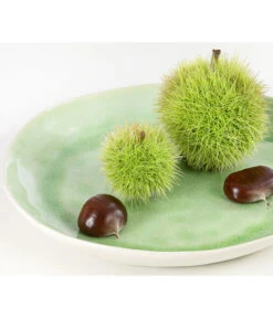 Esskastanie 'Bouche De Betizac' -Gardena Store 7621998 PR DE 002 CastaneaSativaBetizacEsskastanieDehnerExpressHerzig