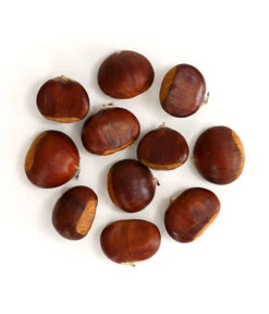 Esskastanie 'Bouche De Betizac' -Gardena Store 7621998 WE FS 003 EsskastanieMaroneCastaneaSativaDehnerExpressHerzig