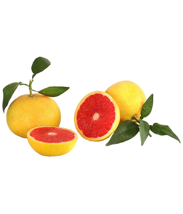 Rosafarbene Grapefruit 2 Rosafarbene Grapefruit – Bild 2