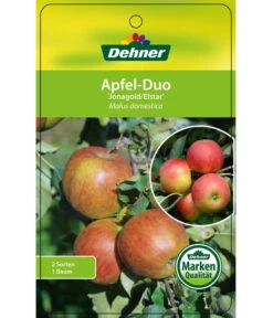 Apfel-Duo 'Jonagold'/'Elstar' -Gardena Store 7639248 Apfel DuoJonagoldElstar Etikett 1