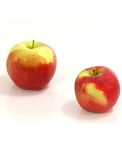 Winterapfel 'Florina'