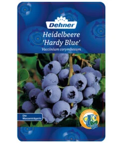 Heidelbeere 'Hardyblue' -Gardena Store 7665490 HeidelbeereHardyblue Etikett 1