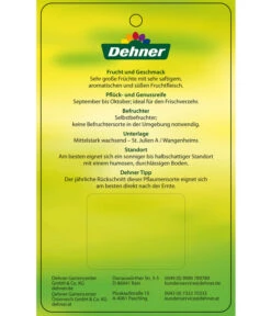 Dehner Pflaume 'Königin Viktoria' -Gardena Store 7702558 PflaumeKoeniginVictoria Etikett 2