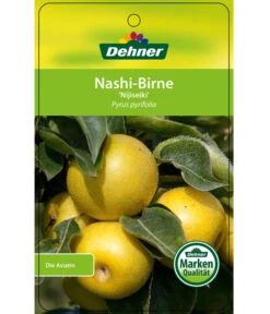 Nashi-Birne 'Nijiseiki' -Gardena Store 7719826 Nashi BirneNijiseiki Etikett 1